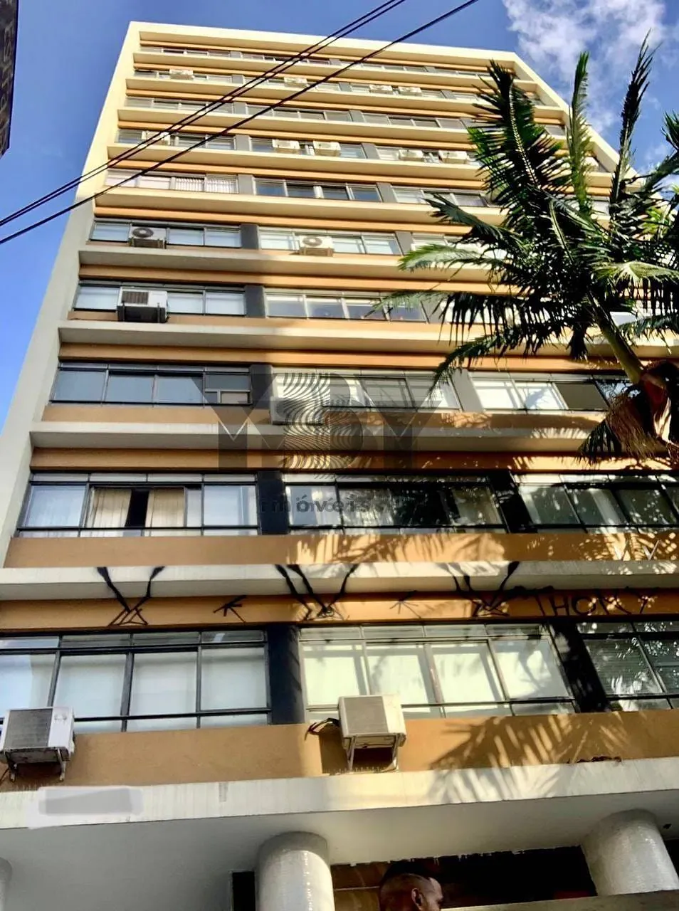 Loja-Salão, 317 m² - Foto 3