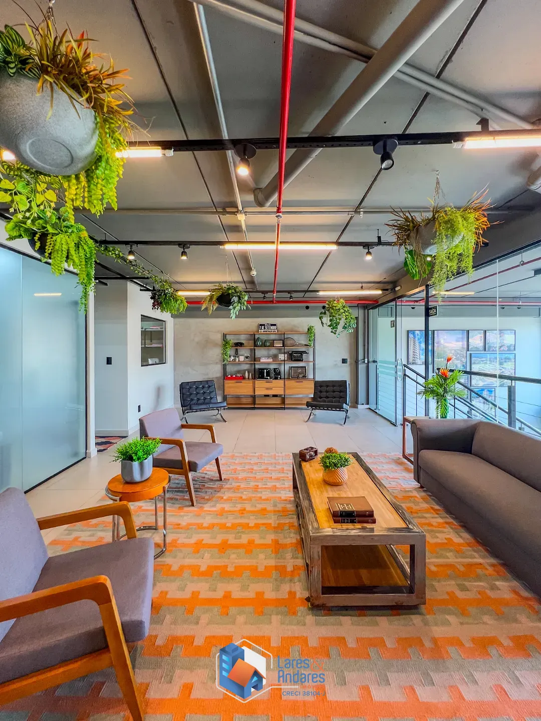 Sala-Conjunto, 295 m² - Foto 4
