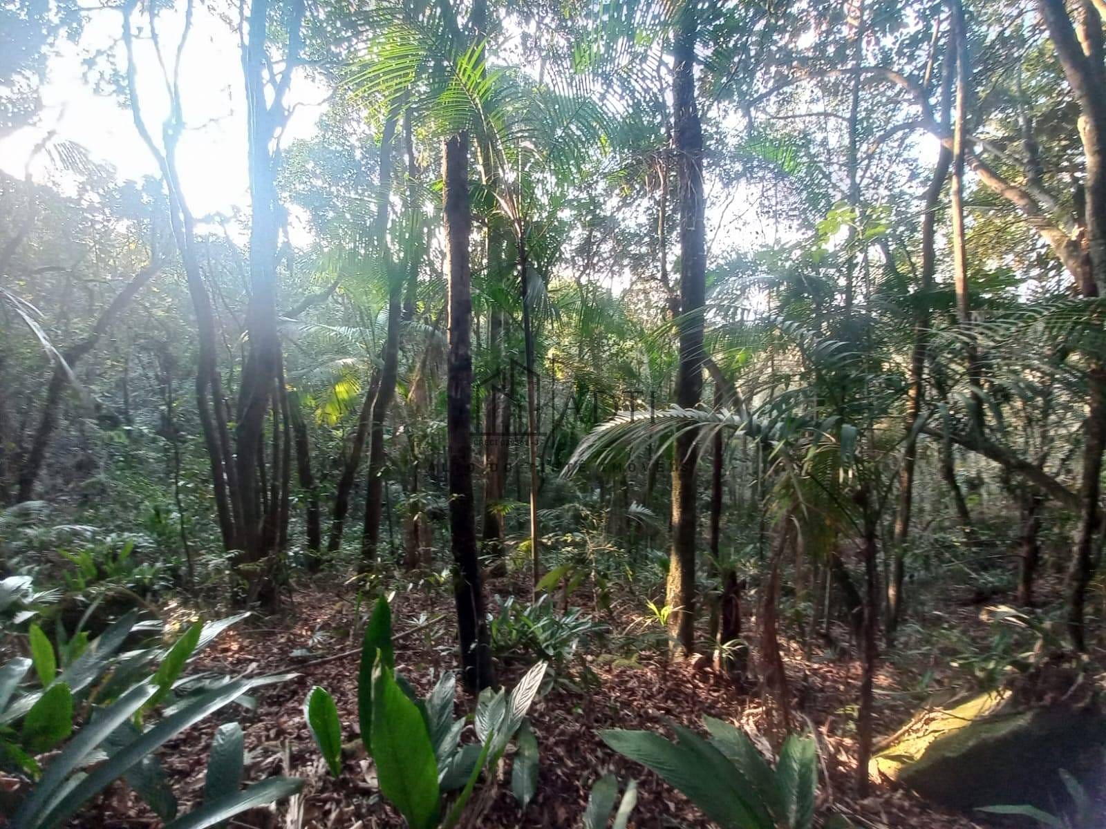 Sítio, 6 quartos, 4900 m² - Foto 49