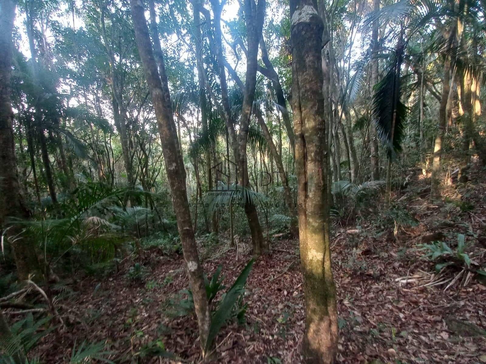 Sítio, 6 quartos, 4900 m² - Foto 42