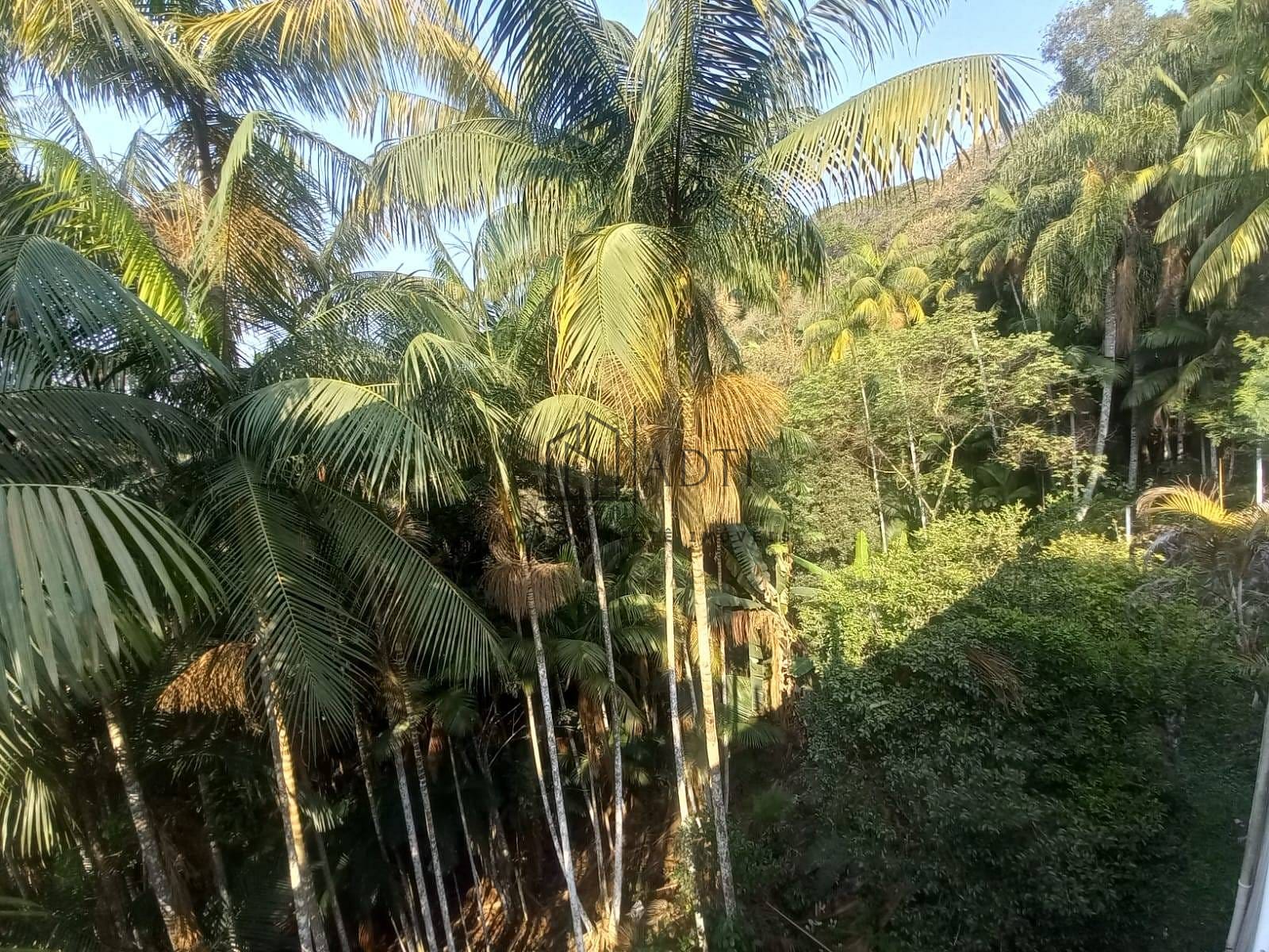 Sítio, 6 quartos, 4900 m² - Foto 44