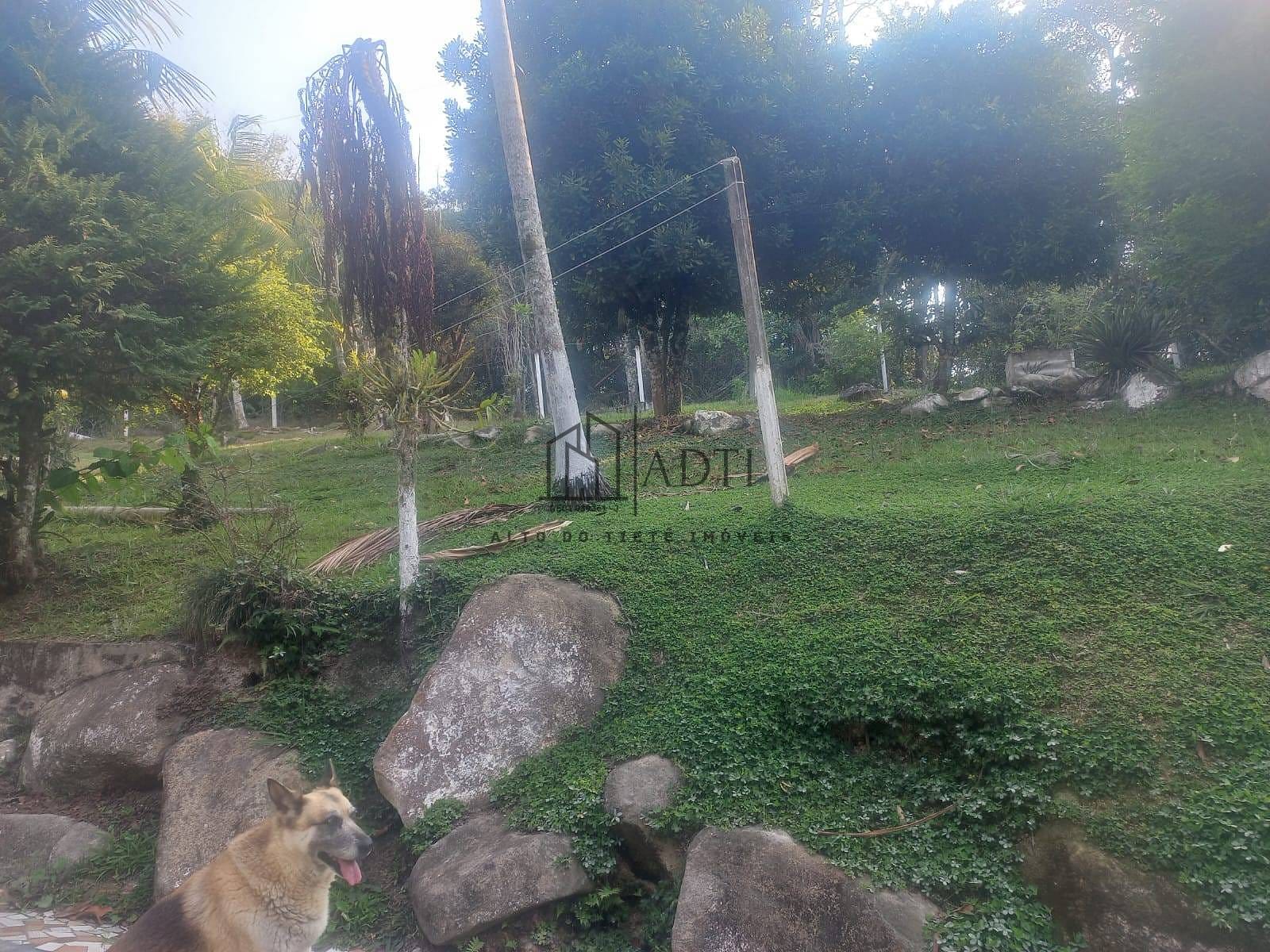 Sítio, 6 quartos, 4900 m² - Foto 45