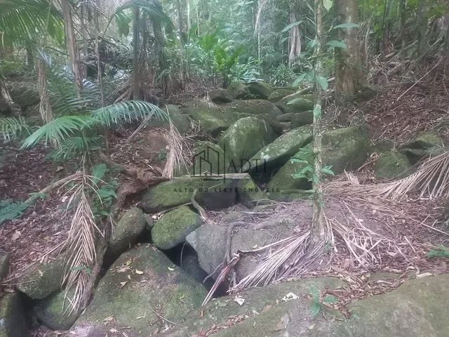 Sítio com 4900m² 6 quartos e 7 banheiros, à venda ou para alugar, no bairro Quatinga em Mogi das Cruzes