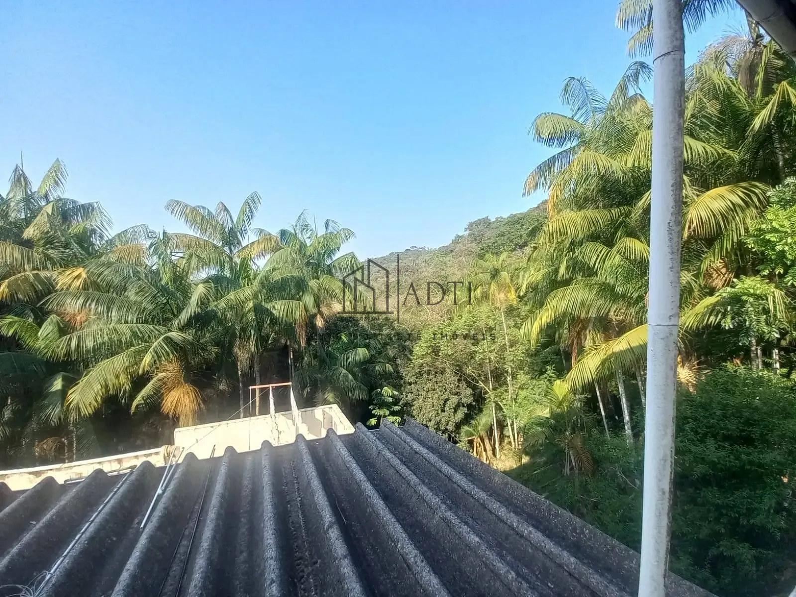 Sítio, 6 quartos, 4900 m² - Foto 8