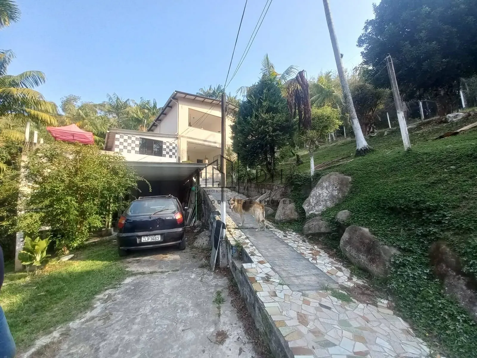 Sítio, 6 quartos, 4900 m² - Foto 7