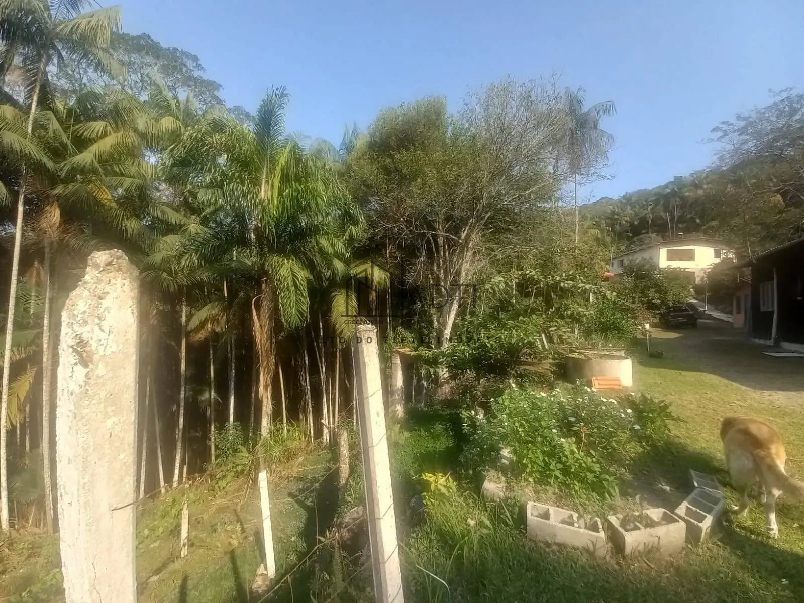 Sítio, 6 quartos, 4900 m² - Foto 48