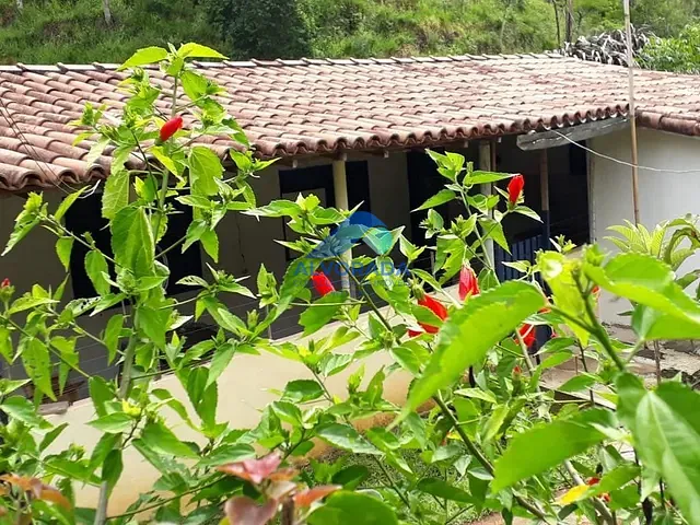 Sítio com 65000m² 4 quartos e 2 banheiros, à venda, no bairro Santana em São José dos Campos
