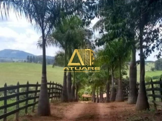 Sítio 3 quartos e 2 banheiros, à venda, no bairro Silvianópolis/MG em Silvianópolis