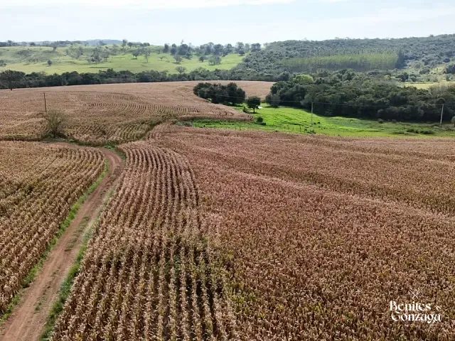 Sítio com 57965m², à venda, no bairro Leste em Marialva