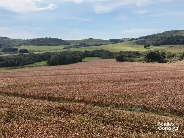 Sítio com 57965m², à venda, no bairro Leste em Marialva