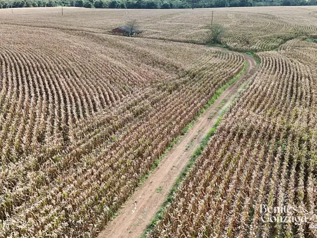 Sítio com 57965m², à venda, no bairro Leste em Marialva