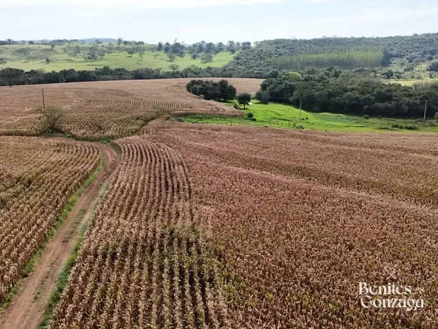 Sítio com 57965m², à venda, no bairro Leste em Marialva