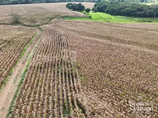 Sítio com 57965m², à venda, no bairro Leste em Marialva