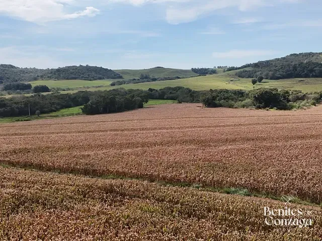 Sítio com 57965m², à venda, no bairro Leste em Marialva
