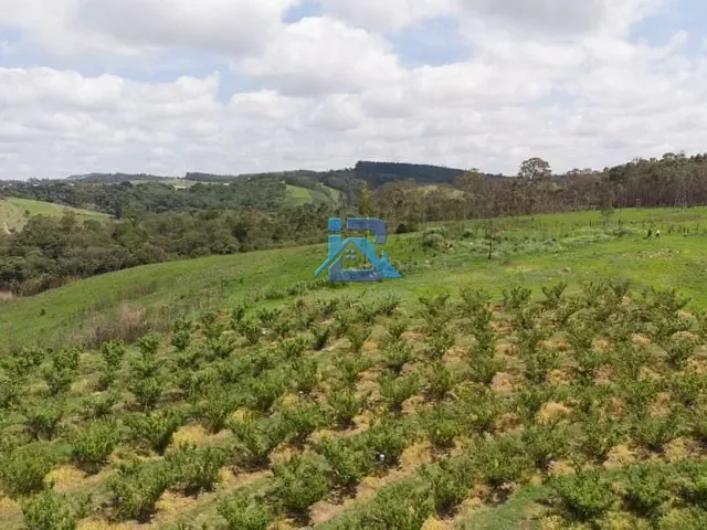 Sítio com 48000m², à venda, no bairro Champirra em Jundiaí