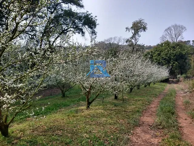 Sítio com 48000m², à venda, no bairro Champirra em Jundiaí