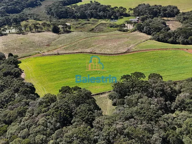Sítio com 88570m², à venda, no bairro São Roque em Fraiburgo
