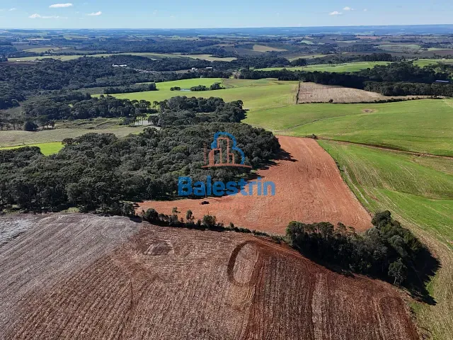 Sítio com 88570m², à venda, no bairro São Roque em Fraiburgo