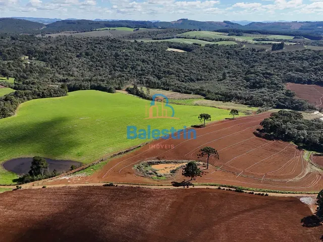 Sítio com 88570m², à venda, no bairro São Roque em Fraiburgo