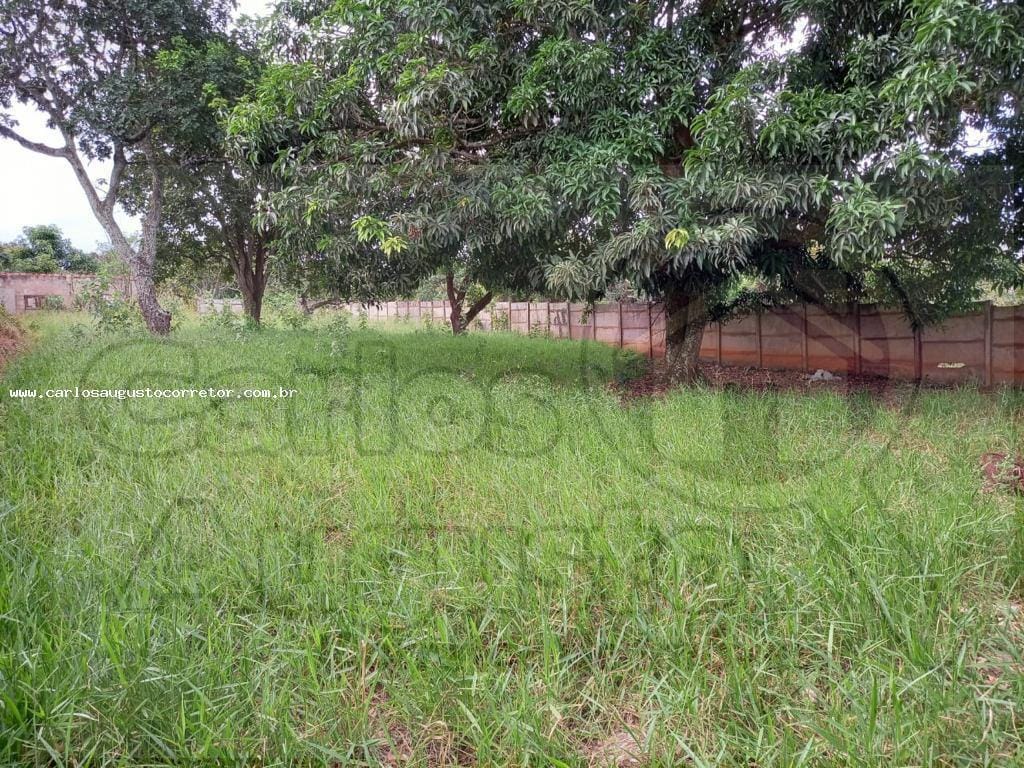https://static.arboimoveis.com.br/SI0001_CARLOS/chacara-para-venda-em-uberlandia-morada-nova1629388218166ctttp.jpg
