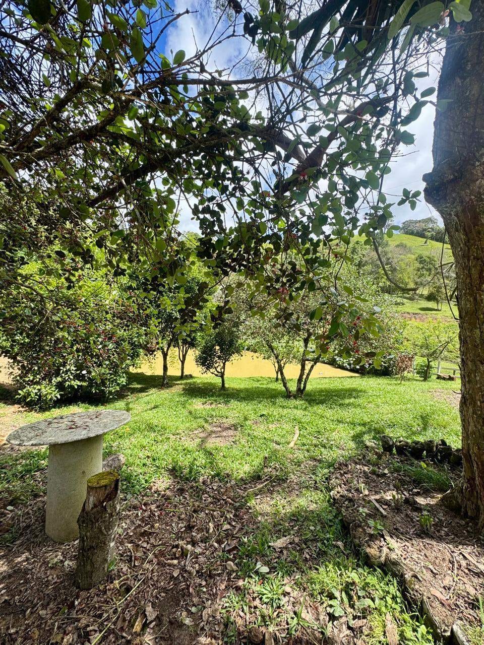 Sítio, 2 quartos, 8 hectares - Foto 8
