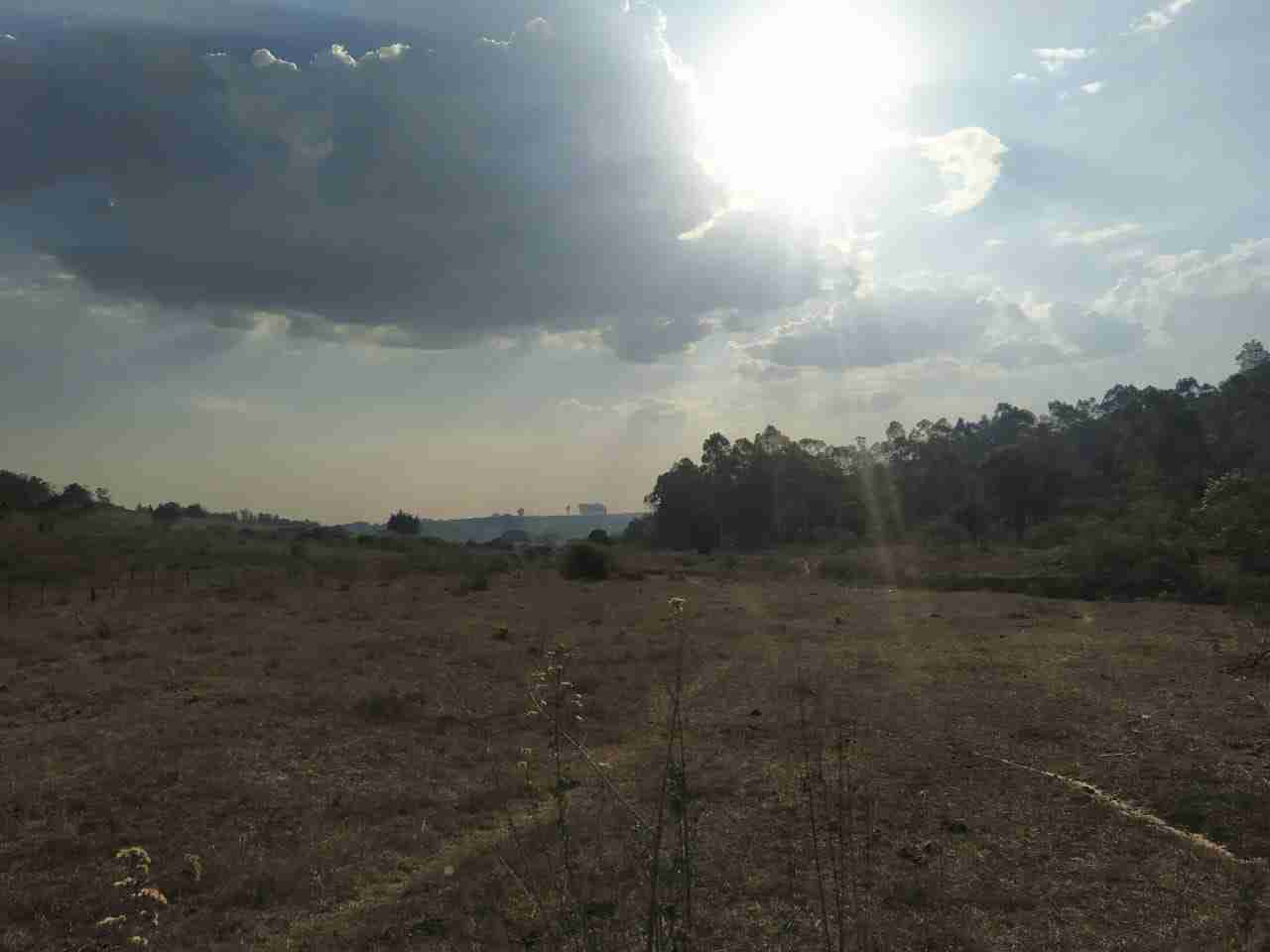 Sítio à venda com 2 quartos, 314600m² - Foto 10