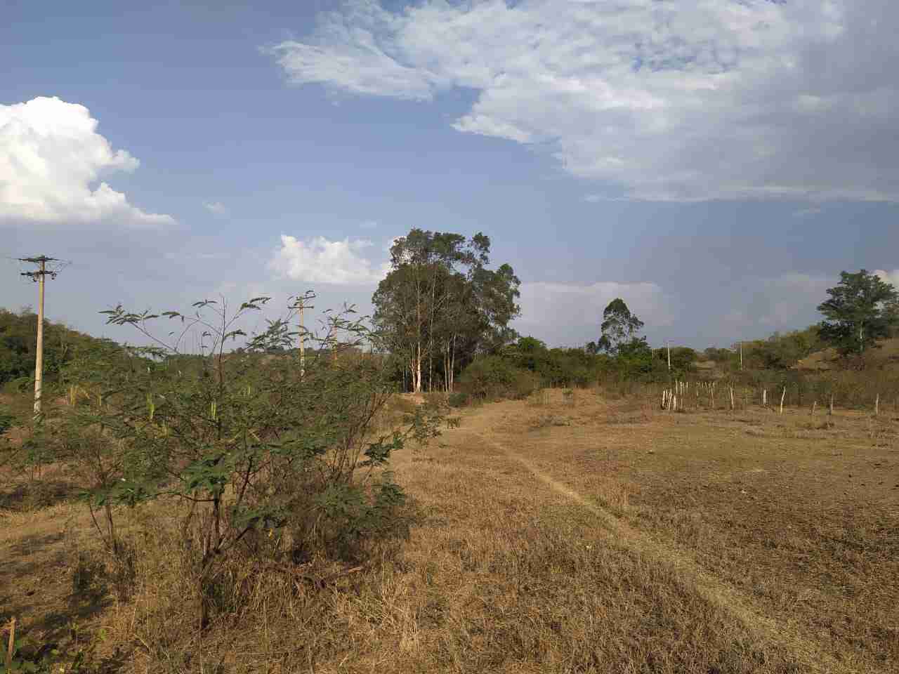 Sítio à venda com 2 quartos, 314600m² - Foto 8