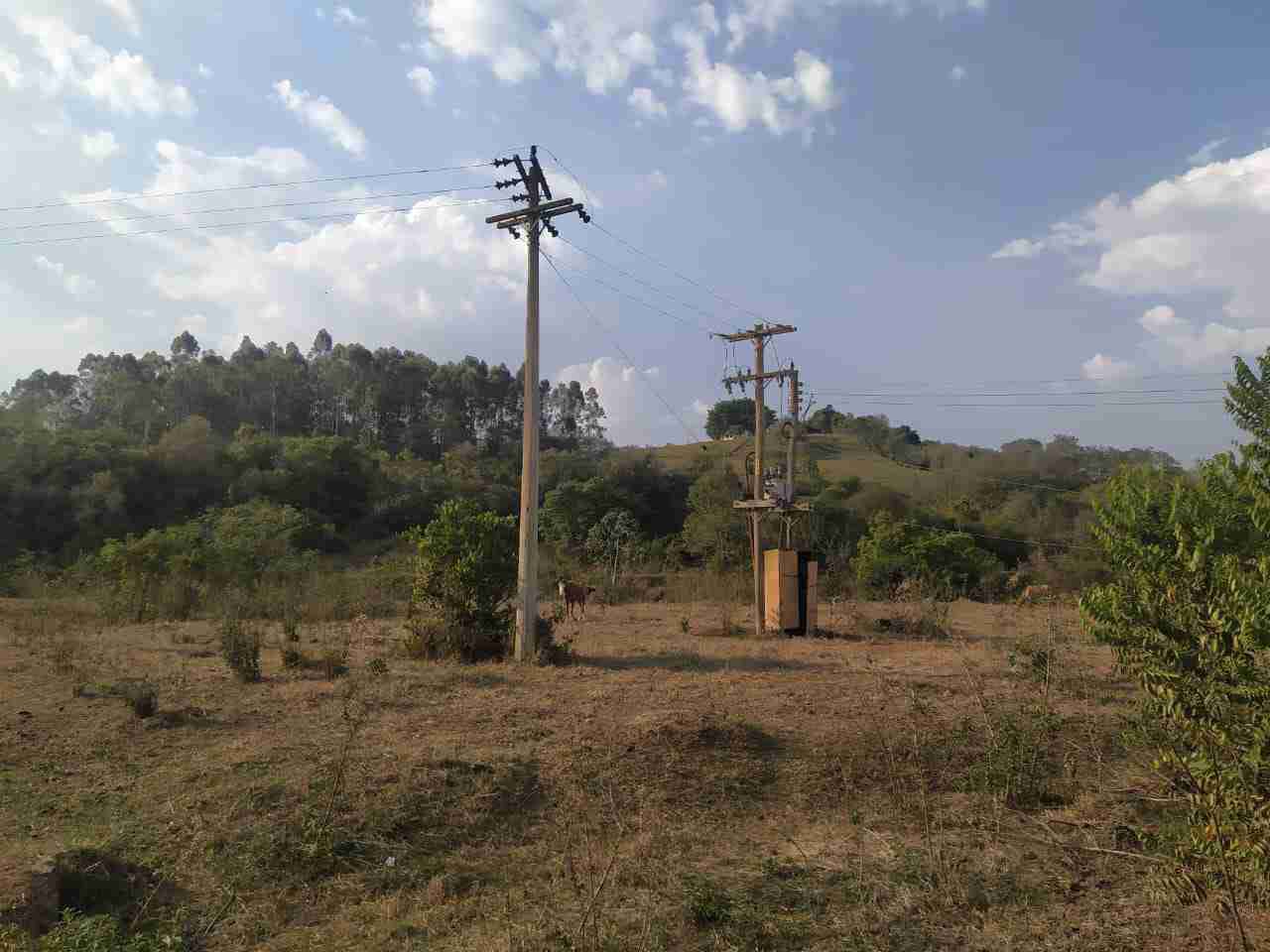 Sítio à venda com 2 quartos, 314600m² - Foto 7