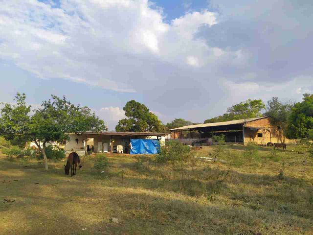 Sítio com 314600m² 2 quartos e 2 banheiros, à venda, no bairro Floresta Escura em São Pedro