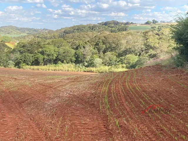 Sítio com 242000m² 3 quartos e 2 banheiros, à venda, no bairro VILA REIS em Vila Reis