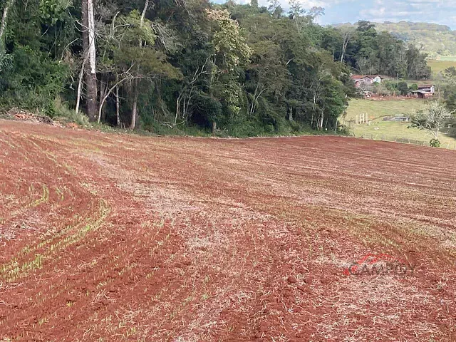Sítio com 242000m² 3 quartos e 2 banheiros, à venda, no bairro VILA REIS em Vila Reis