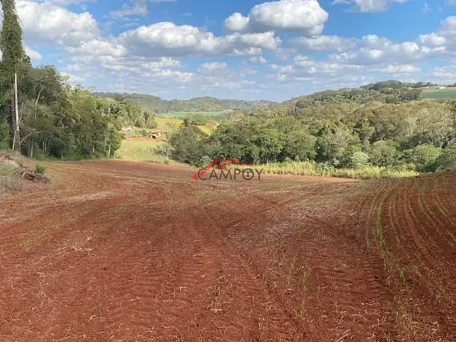 Sítio com 242000m² 3 quartos e 2 banheiros, à venda, no bairro VILA REIS em Vila Reis