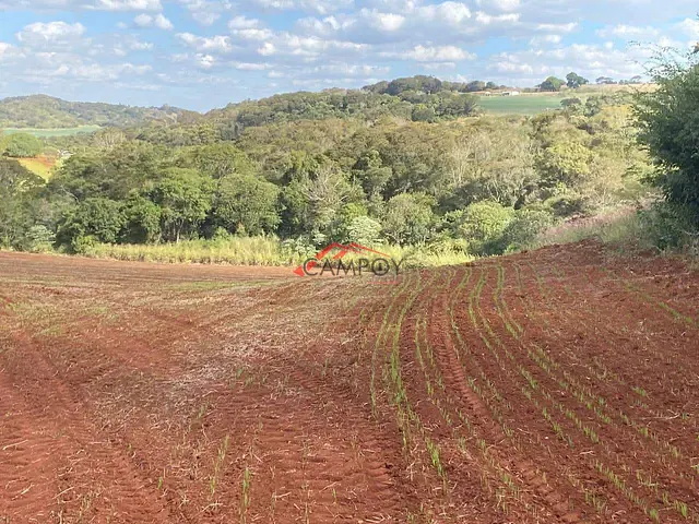 Sítio com 242000m² 3 quartos e 2 banheiros, à venda, no bairro VILA REIS em Vila Reis