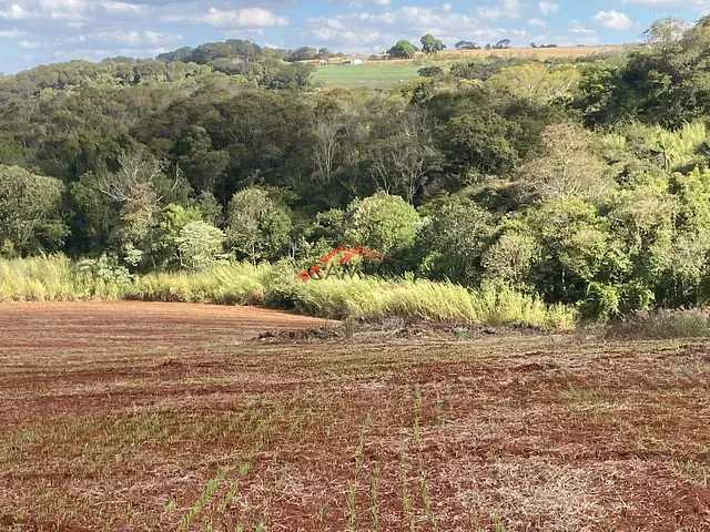 Sítio com 242000m² 3 quartos e 2 banheiros, à venda, no bairro VILA REIS em Vila Reis