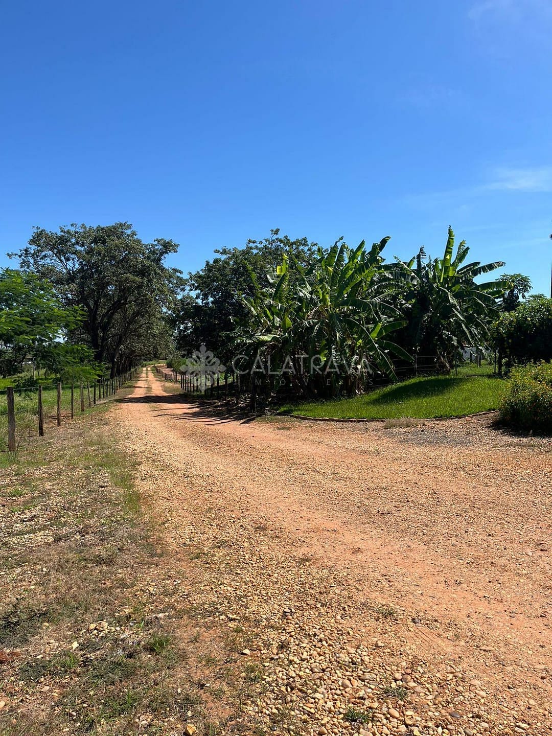 Fazenda, 13 hectares - Foto 39