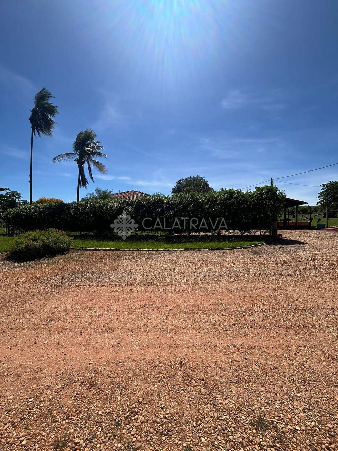 Fazenda, 13 hectares - Foto 16