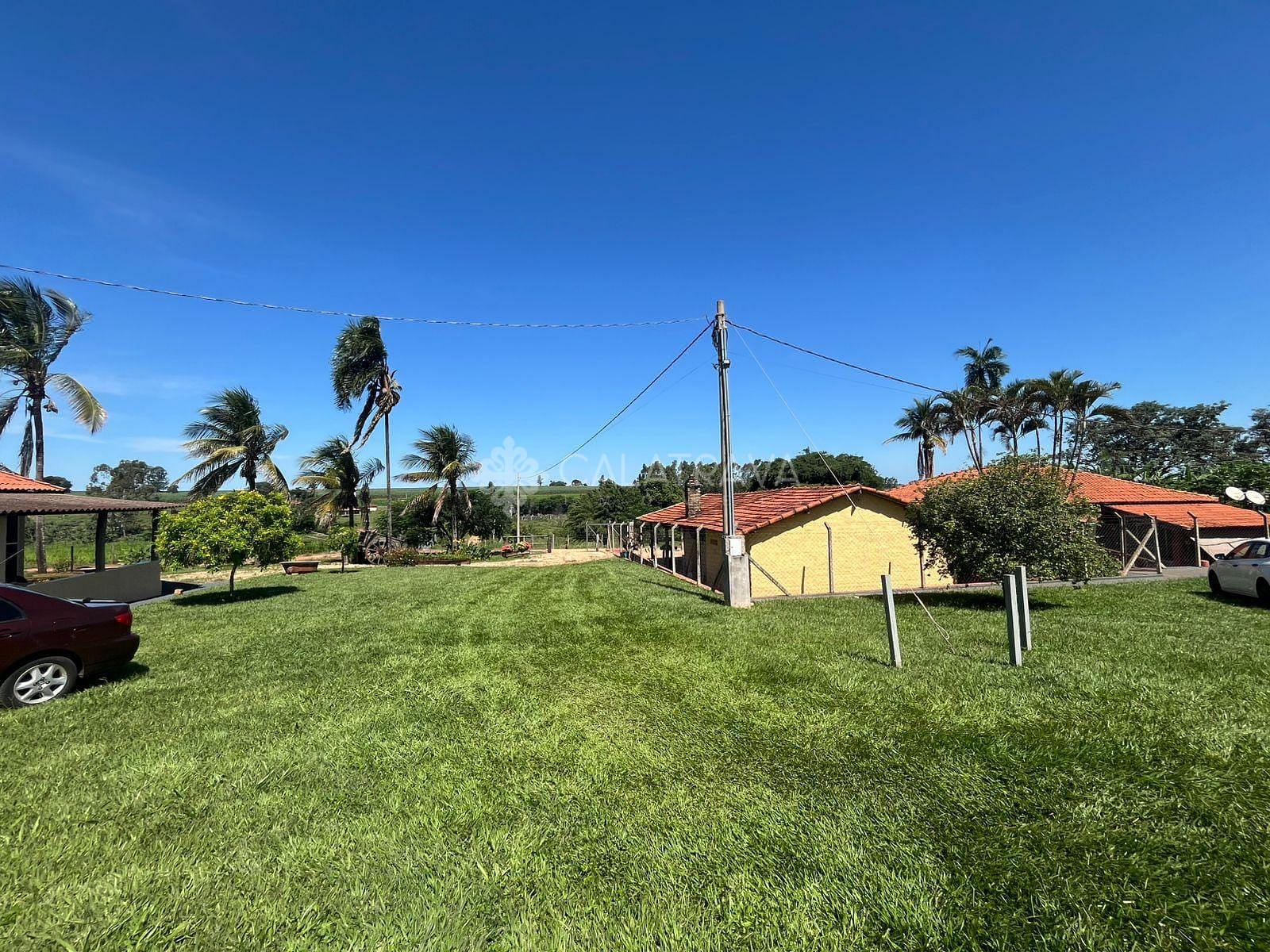 Fazenda, 13 hectares - Foto 9