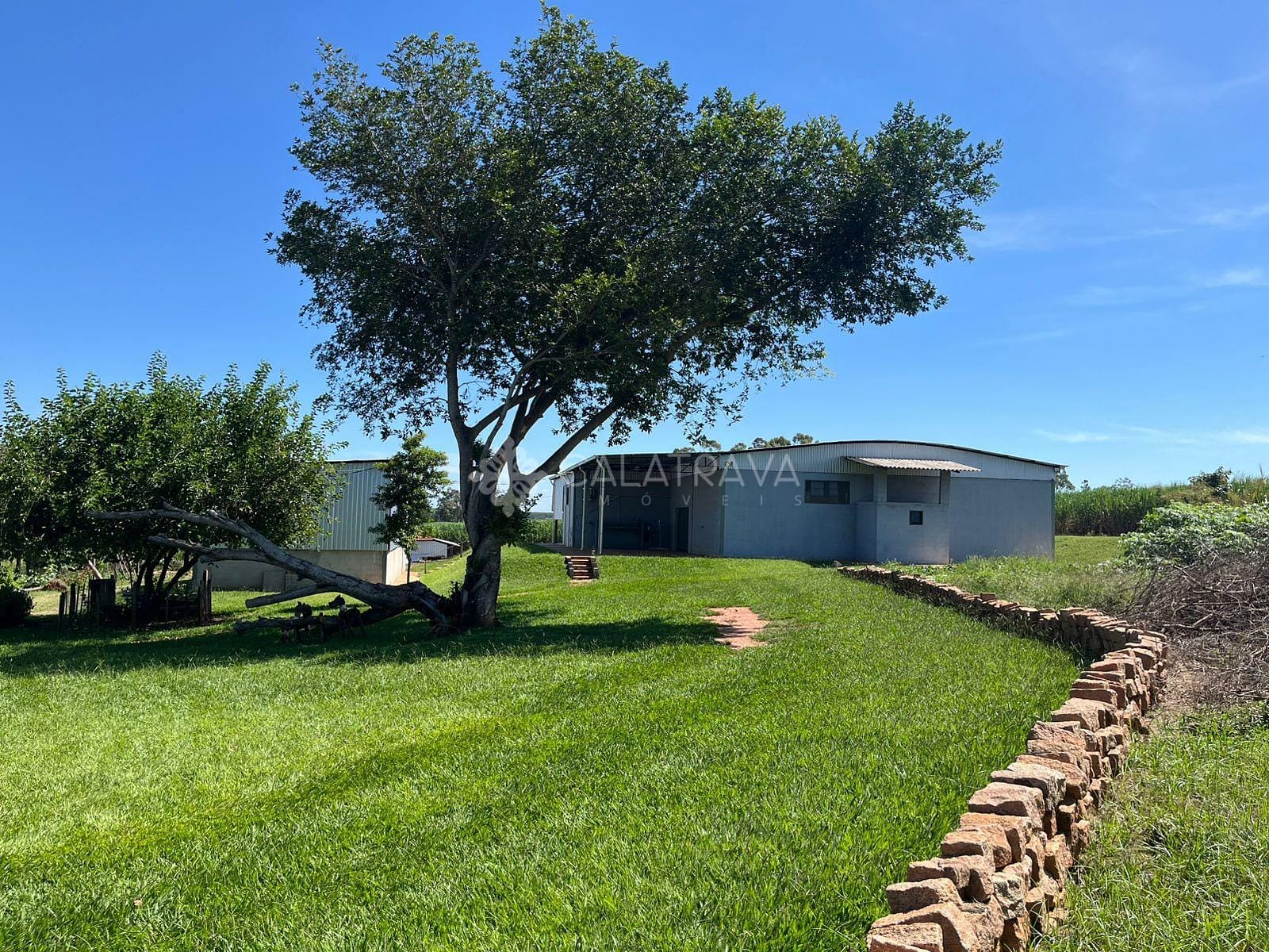 Fazenda, 13 hectares - Foto 6