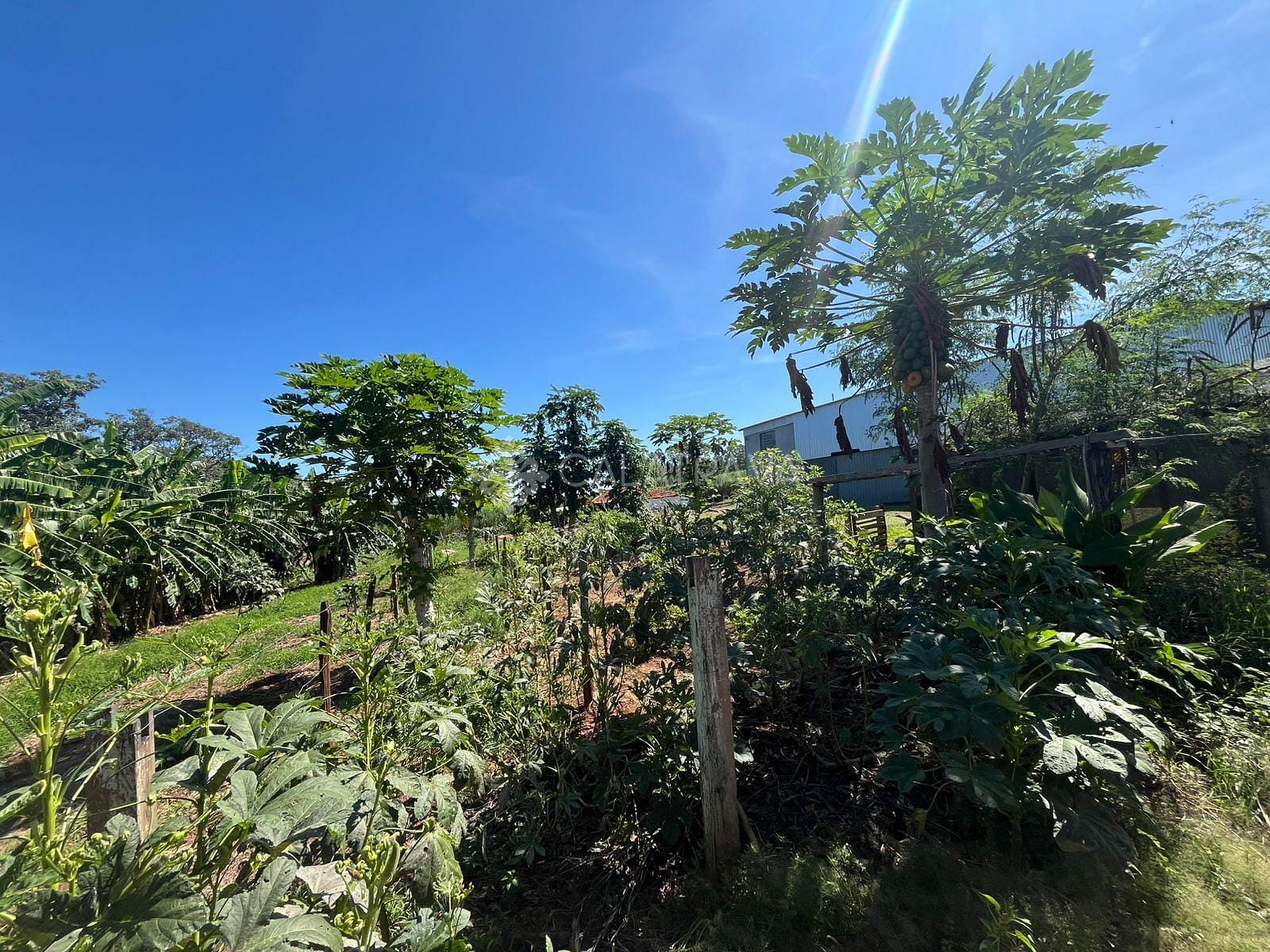 Fazenda, 13 hectares - Foto 14