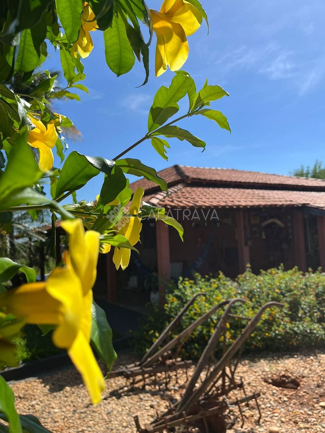 Fazenda, 13 hectares - Foto 25