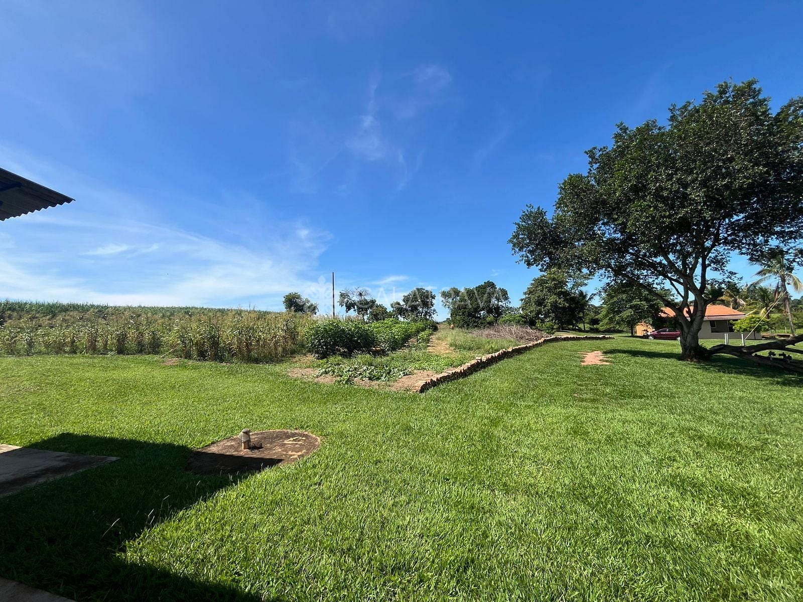 Fazenda, 13 hectares - Foto 34