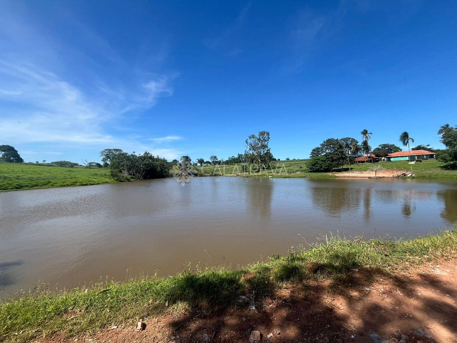 Fazenda, 13 hectares - Foto 4