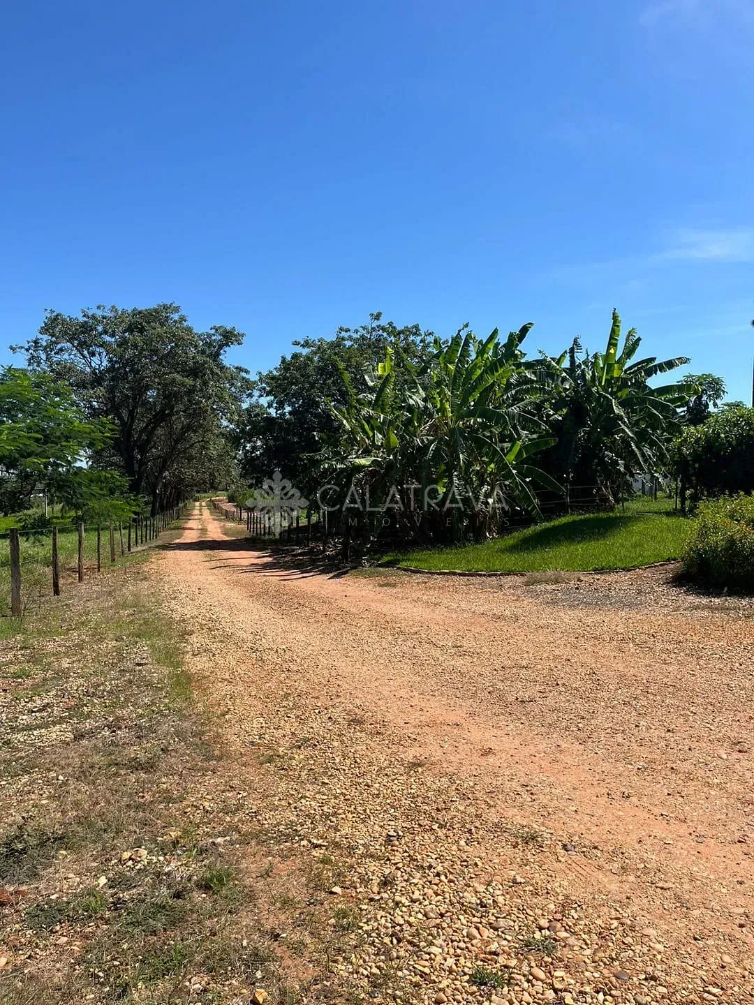 Sítio, 4 quartos, 13 hectares - Foto 39