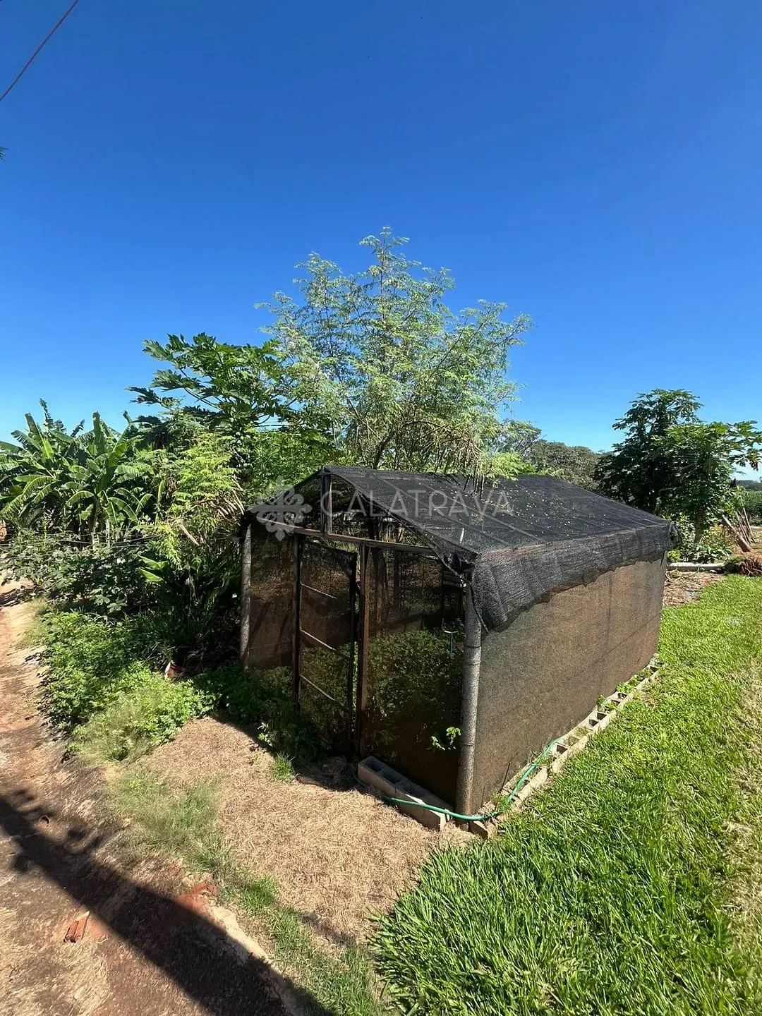 Sítio, 4 quartos, 13 hectares - Foto 37