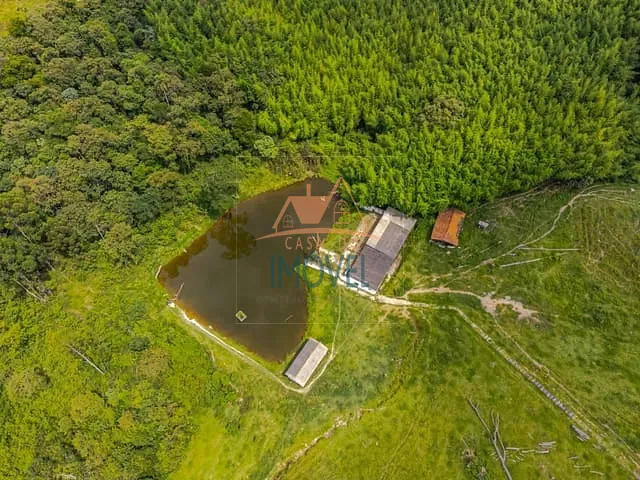 Sítio com 125000m² 5 quartos e 4 banheiros, à venda, no bairro Centro (Canguera) em São Roque