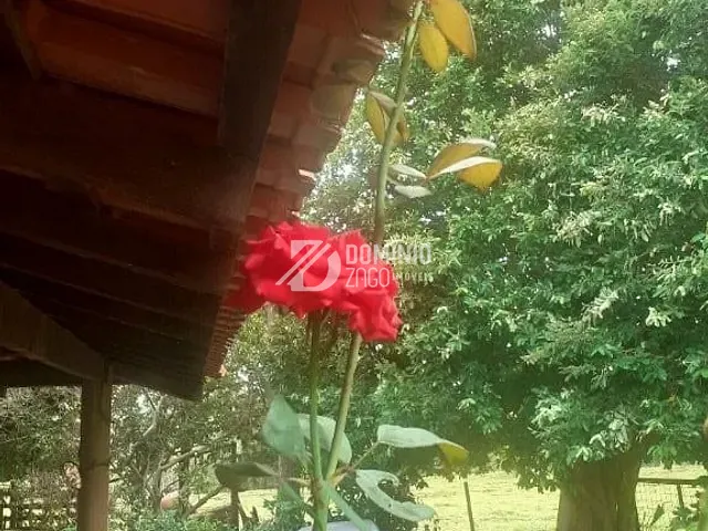 Sítio com 180000m² 3 quartos e 1 banheiro, à venda, no bairro Zona Rural em Uberaba
