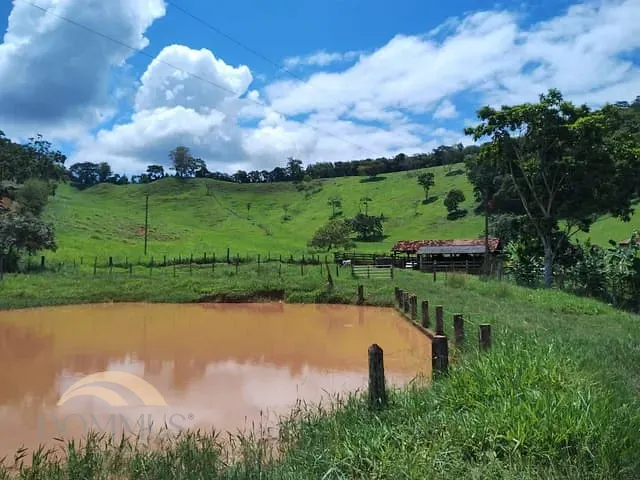 Sítio com 184800m², à venda, no bairro São Candido em Caratinga
