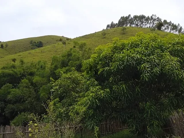 Sítio com 145000m² 4 quartos e 2 banheiros, à venda, no bairro Zona Rural em Guaratinguetá