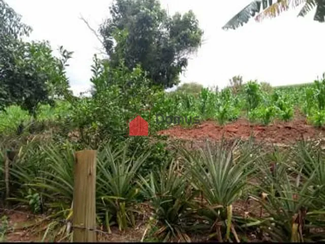 Sítio com 42000m² 2 quartos e 1 banheiro, à venda, no bairro Rural em Lagoinha