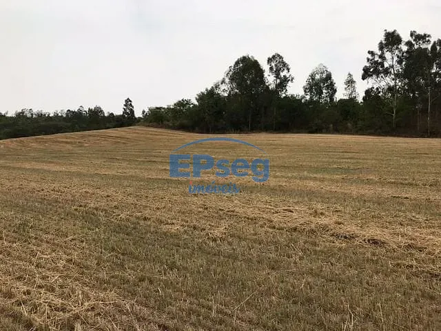 Sítio com 332508m², à venda, no bairro Limoeiro em Londrina